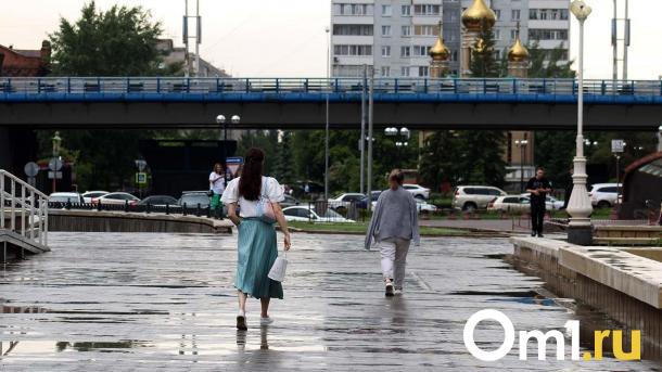 В синюю крапинку: несколько машин пострадали во время покраски метромоста
