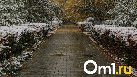 Мокрый снег и гололёд: синоптики рассказали, чего ждать от погоды в Омске на следующей неделе