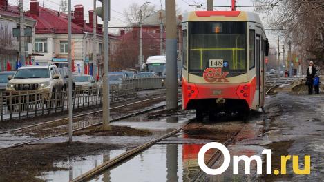 Экскурсия в Венецию: атмосферные фото омских улиц этой весны