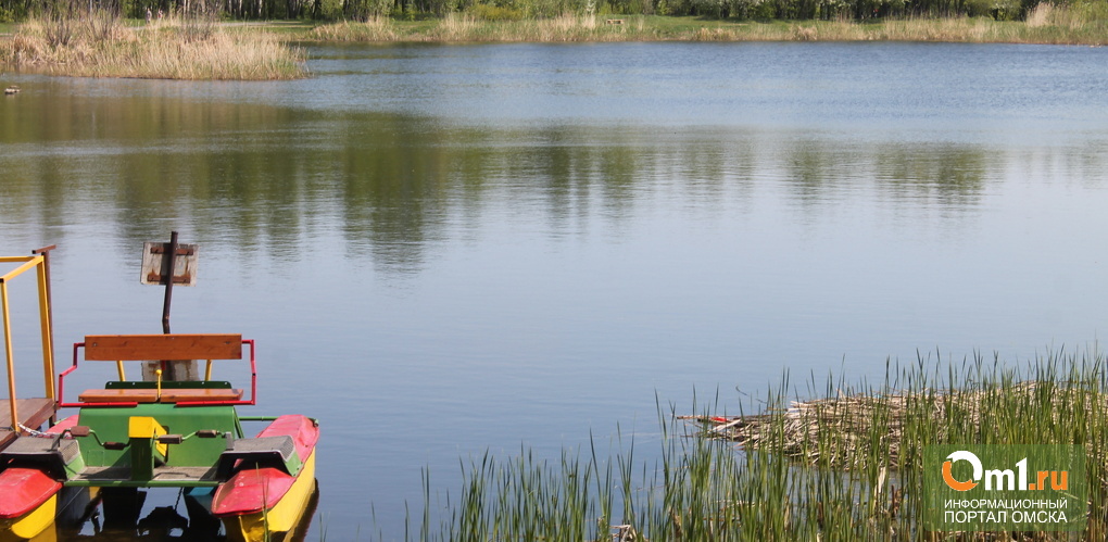 В парке 30-летия ВЛКСМ реконструируют озеро и заведут павлинов