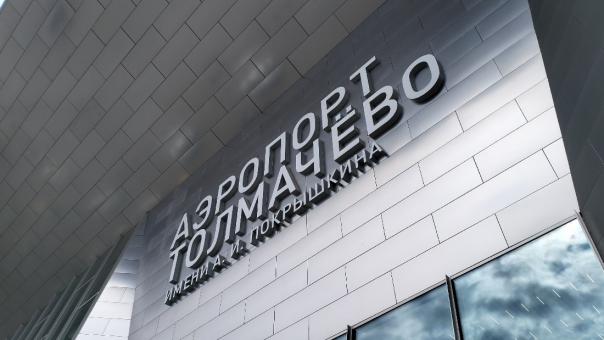 Самолет, вылетевший рейсом Москва — Новосибирск, столкнулся с чайкой