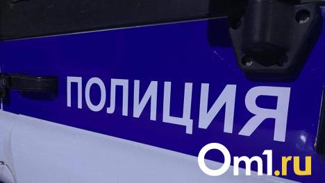 В Омске разыскивают мужчину и девочку, которые украли вещи детей, пока те катались с горки