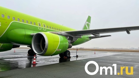 Новый лоукостер Citrus, который будет базироваться в Омске, начнёт полёты уже летом