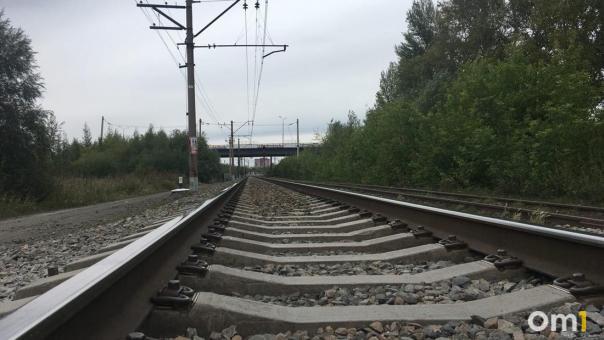 Новый прямой поезд хотят запустить между Барнаулом и Новосибирском