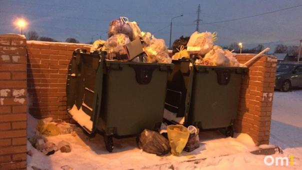В мэрии Новосибирска объяснили причины сбоев вывоза мусора