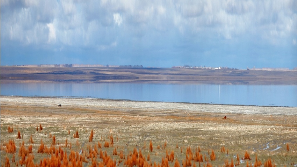 Власти Омской области могут ужесточить наказание за браконьерство на озере Эбейты