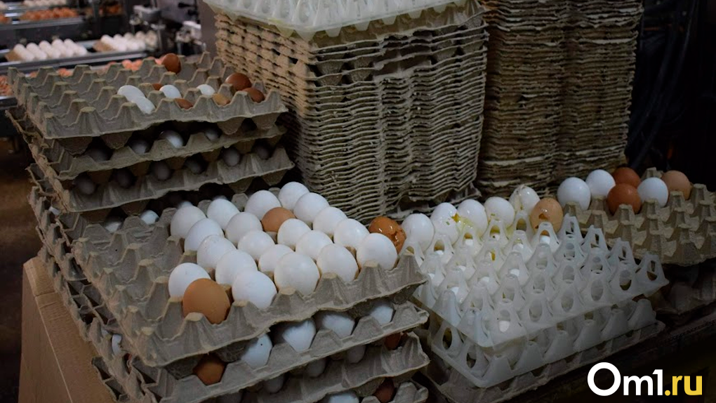В Омской области в 1,5 раза выросло производство яиц