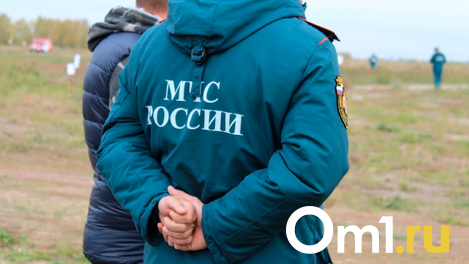 Две дачи, котельную и надворные постройки охватило огнём в Новосибирске