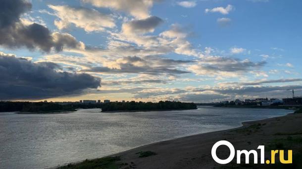 Омичи сообщают о массовой гибели рыбы в реках и озёрах региона