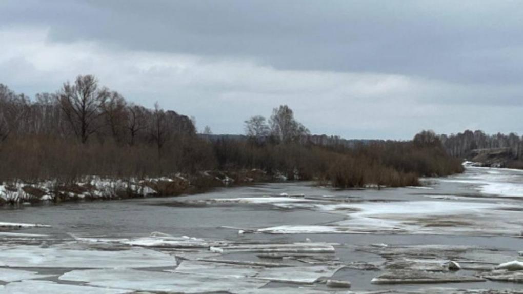 В Новосибирской области затопило 95 участков и один жилой дом