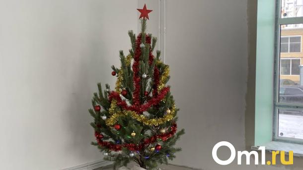 В Омске поймали ёлочного вора-романтика