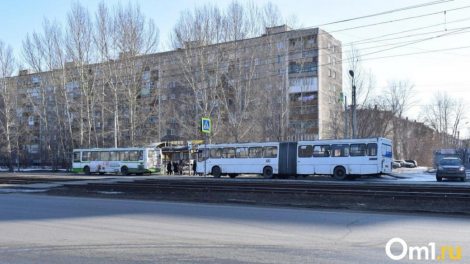 В Омске готовятся к закупке автобусов-гармошек