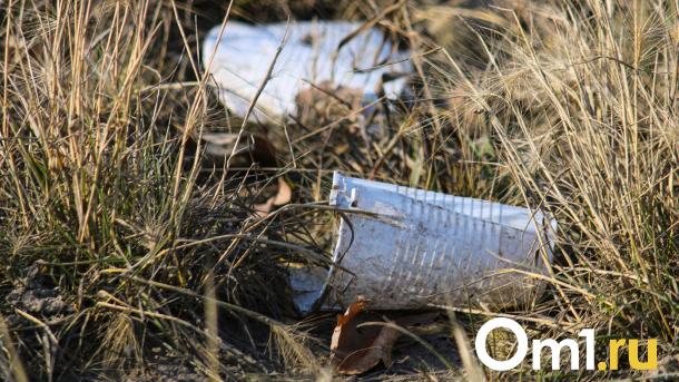 На окраине Омска произошёл крупный пожар: причиной стало возгорание мусора