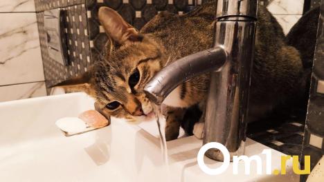 Омский водоканал начал отключать дома должников от водопровода