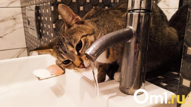 Омский водоканал начал отключать дома должников от водопровода