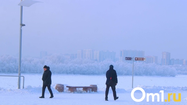 Прячьте уши, щёки, нос: в Омскую область придут морозы до -32