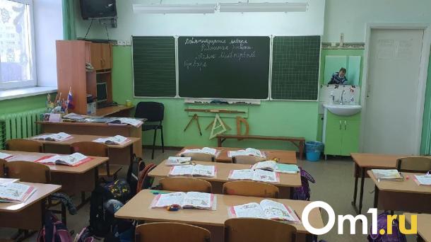 Двум омским учителям пришлось вернуть миллион, полученный за переезд в сельские школы