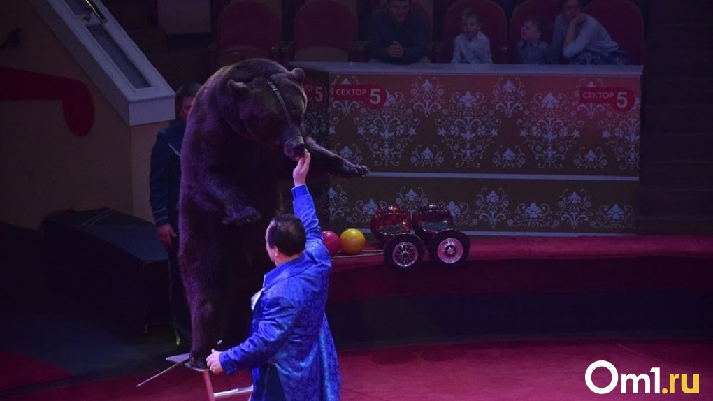 Омский цирк закрывается: фуры с реквизитом гастролирующего шоу уже выехали