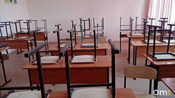 В Омске отреагировали на жалобы о тараканах в лицее № 137