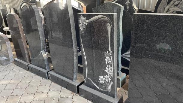 Кладбища Новосибирска прошли энтомологическое исследование: клещей не обнаружено