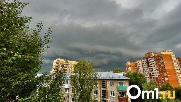 Стало известно, когда в Омской области прекратят идти дожди