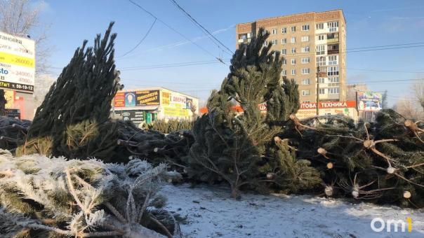 После Нового года Омск оказался усеян нераспроданными ёлками