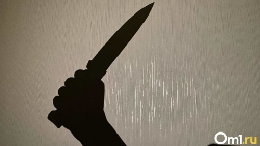 «Порезал прохожему живот»: подозреваемый в нападении на новосибирца сам сдался полиции