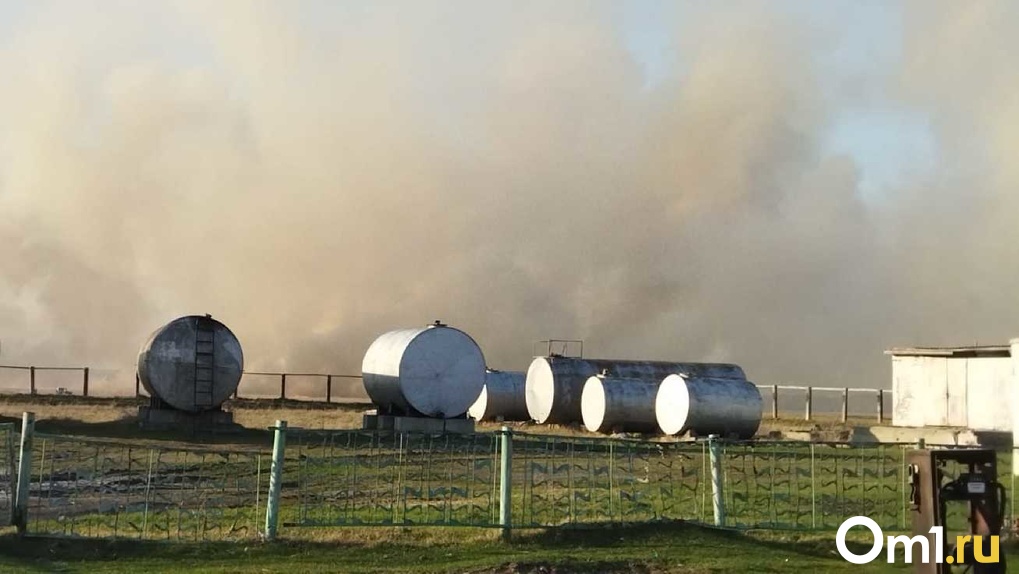Угроза взрыва: природный пожар вплотную подобрался к заправке в Новосибирской области
