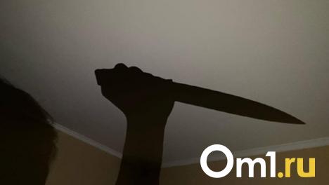 Омич, который может сесть на 15 лет за убийство жены, пытался запутать следствие
