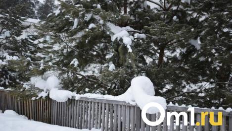Синоптики рассказали о погоде в Омске на трёхдневные мартовские выходные