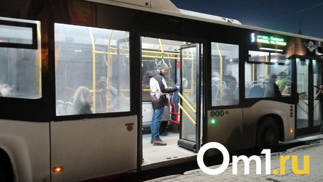 Омский горсовет дал школьникам право на бесплатные поездки