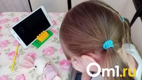 Молодая омичка оставила маму без денег из-за фальшивого блогера