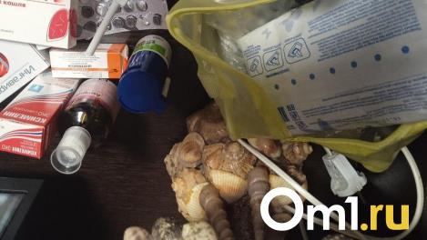 Омские медики рассказали, почему летом возникает цистит и что с этим делать