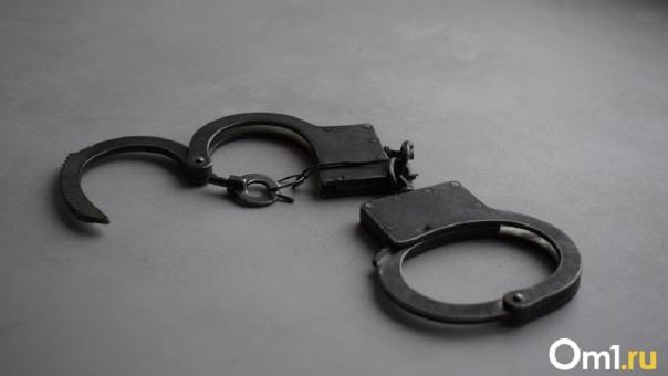 Иностранцев, которые пешком пробрались через границу, отправили в омскую колонию