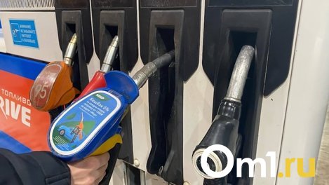На омских заправках резко выросла цена на газ