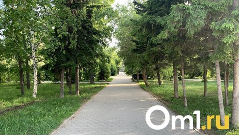 Где погулять этой осенью? Смотрим, что благоустроят в Омске за лето