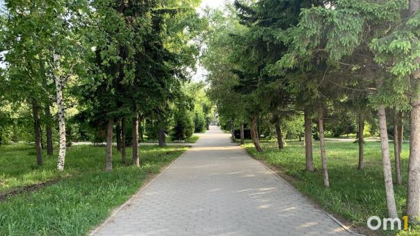 Где погулять этой осенью? Смотрим, что благоустроят в Омске за лето