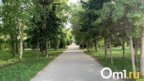 Где погулять этой осенью? Смотрим, что благоустроят в Омске за лето