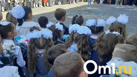 Отравление детей после последнего звонка в Омской области проверит федеральный СК