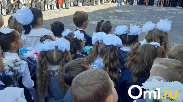 Отравление детей после последнего звонка в Омской области проверит федеральный СК
