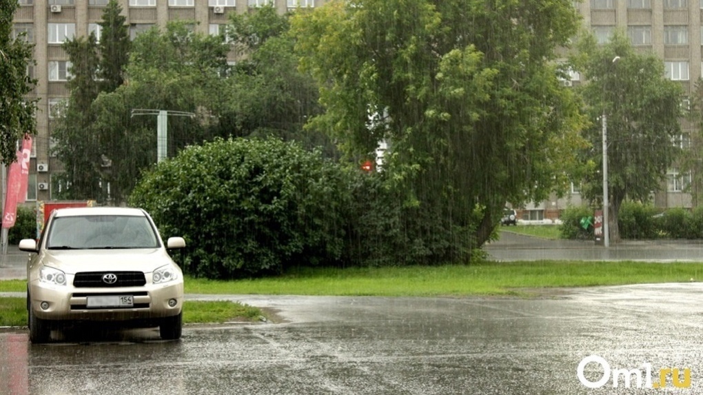Циклонический вихрь: в июле Новосибирск зальёт дождём