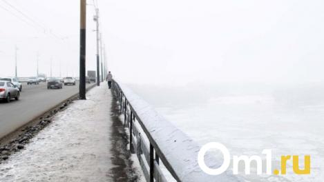 Никто не захотел ремонтировать Димитровский мост в Новосибирске