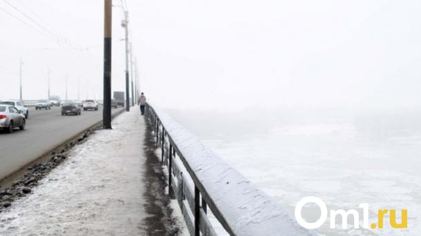 Никто не захотел ремонтировать Димитровский мост в Новосибирске