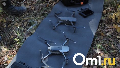 С помощью дрона в новосибирскую колонию пытались передать смартфоны с сим-картами. ФОТО