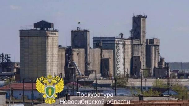Новосибирские аграрии попались на хищении зерна: как работала схема на 42 миллиона