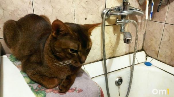 Жители Московки-2 возмутились голубой питьевой водой из-под крана