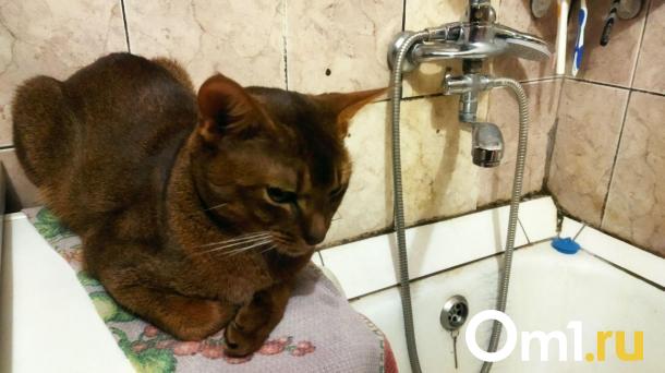 Жители Московки-2 возмутились голубой питьевой водой из-под крана