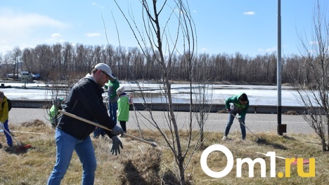 Долой мусор. Общегородской субботник в Омске состоится 16 апреля
