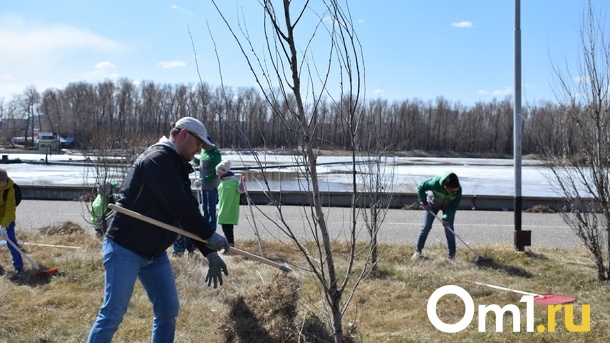 Долой мусор. Общегородской субботник в Омске состоится 16 апреля