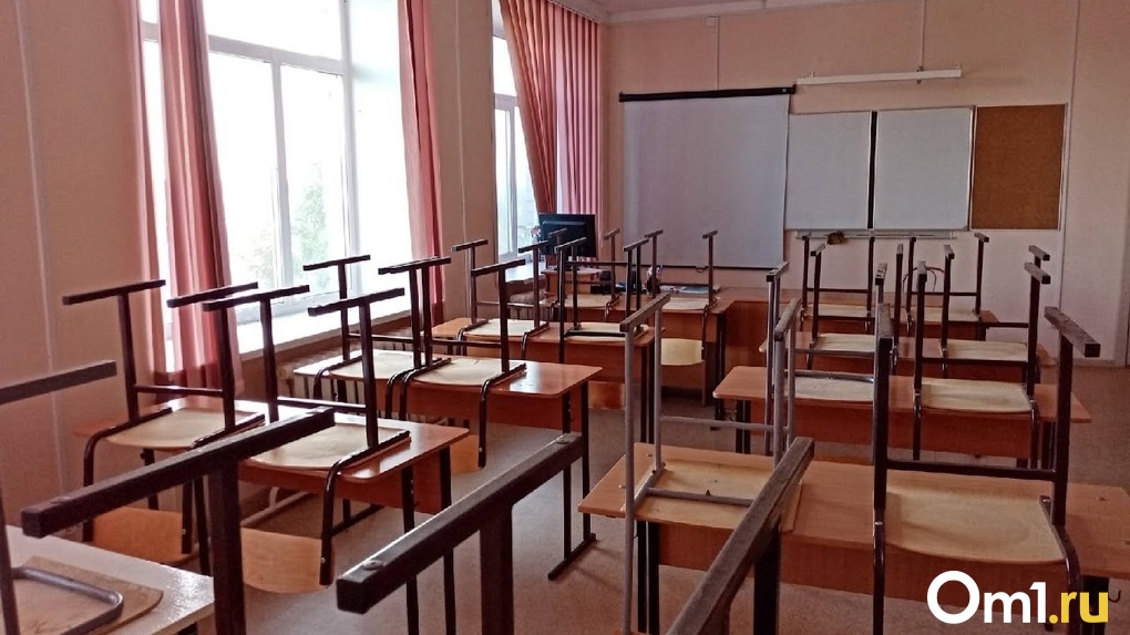 В Омской области на карантин по гриппу и ОРВИ закрывают школы целиком